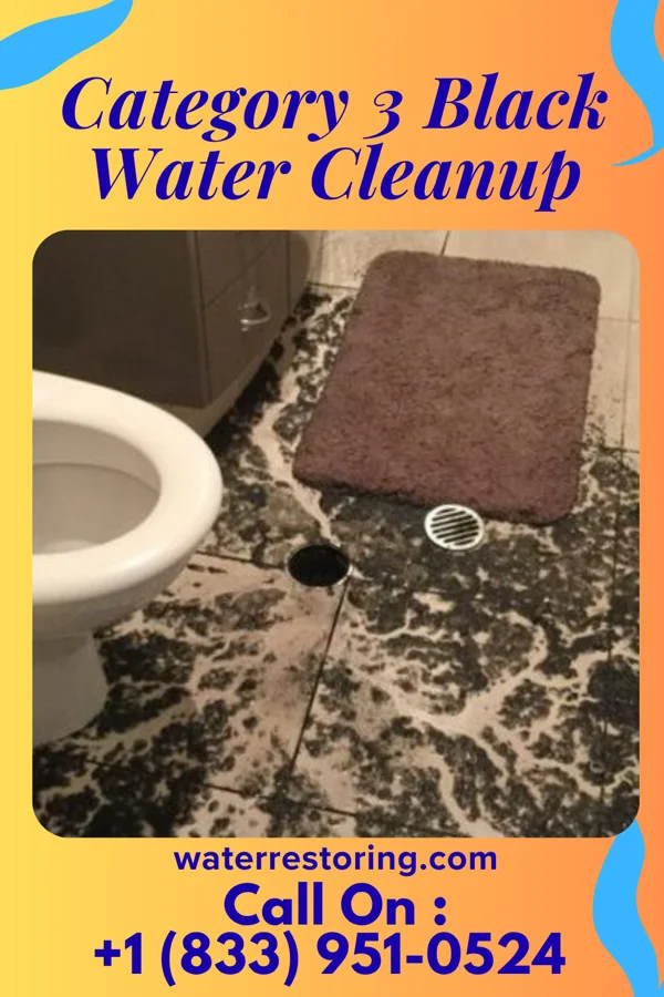 Category 3 Black Water Cleanup in Dale, OK